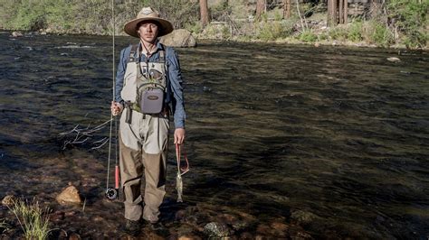  The Fish Who Learned To Fly: Uma História de Persistência e a Beleza do Impossível!